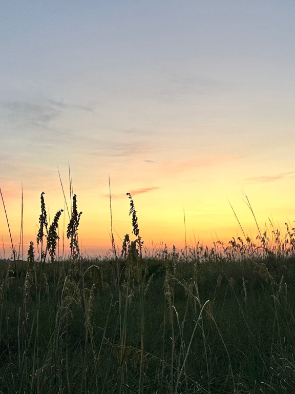 image of sunset in Bluffton