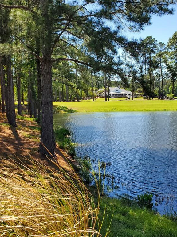 Image of a golf course and lagoon in Sun City Hilton Head