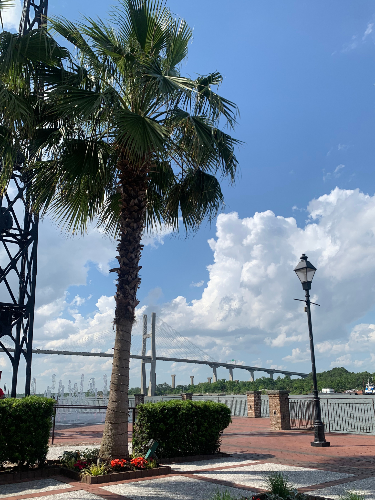 image of the river walk in Savannah, GA