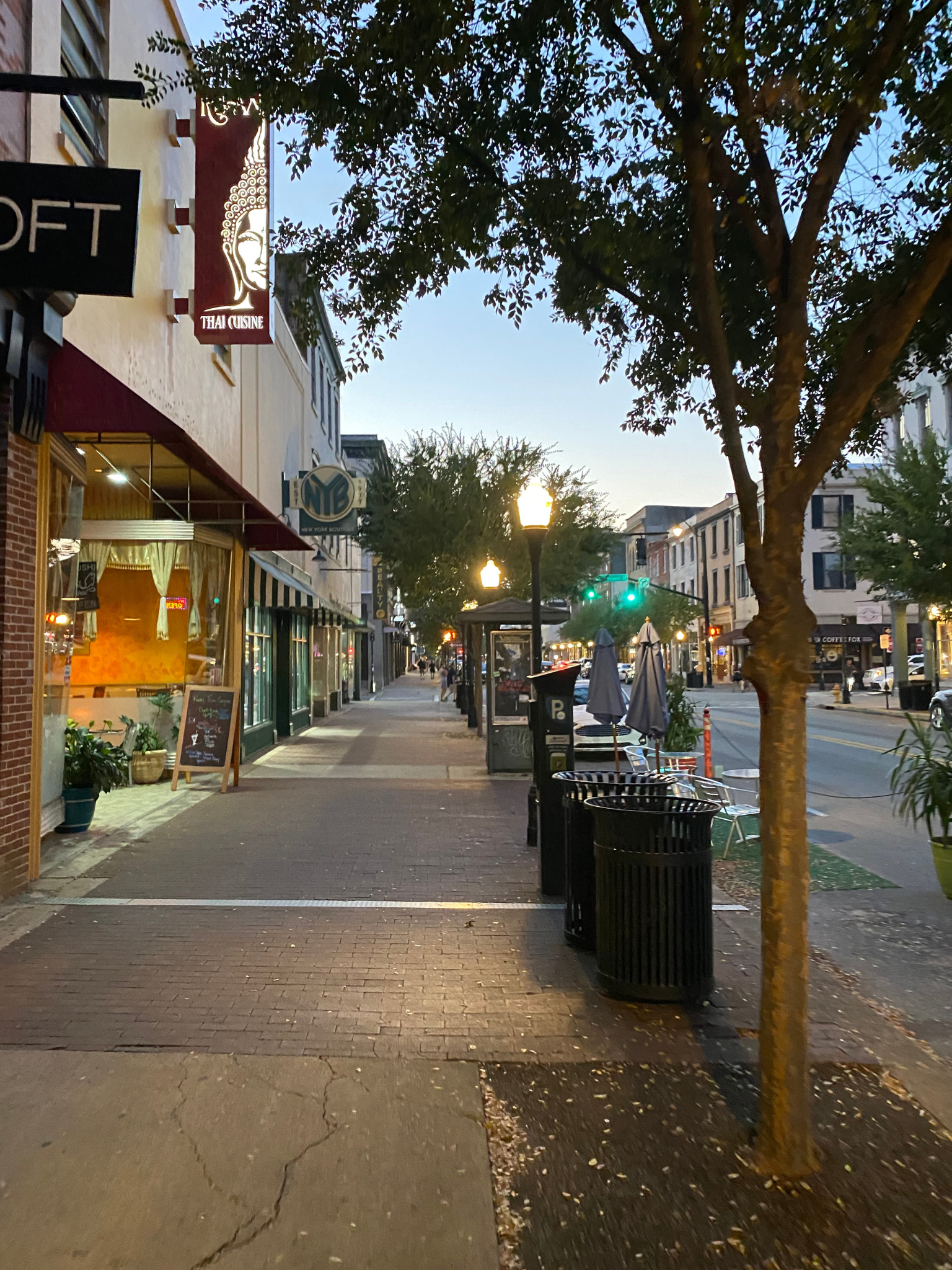 image of a street in Savannah, GA