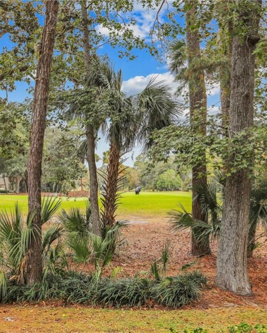 Image of a Hilton Head golf court and trees view